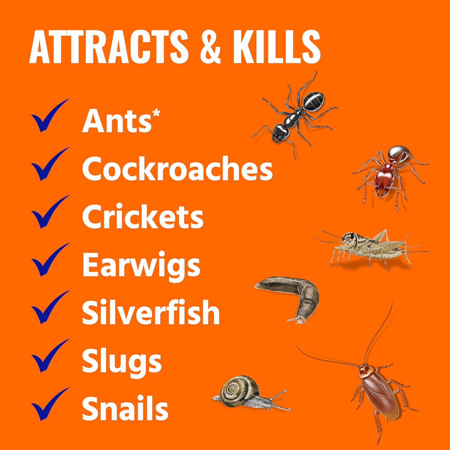 TERRO T2600 Perimeter Outdoor Ant Bait Plus - Attracts and Kills Carpenter Ants, Roaches, Crickets, Earwigs, Silverfish, Slugs and Snails - 2 Pack, 4Lbs - 图片 3