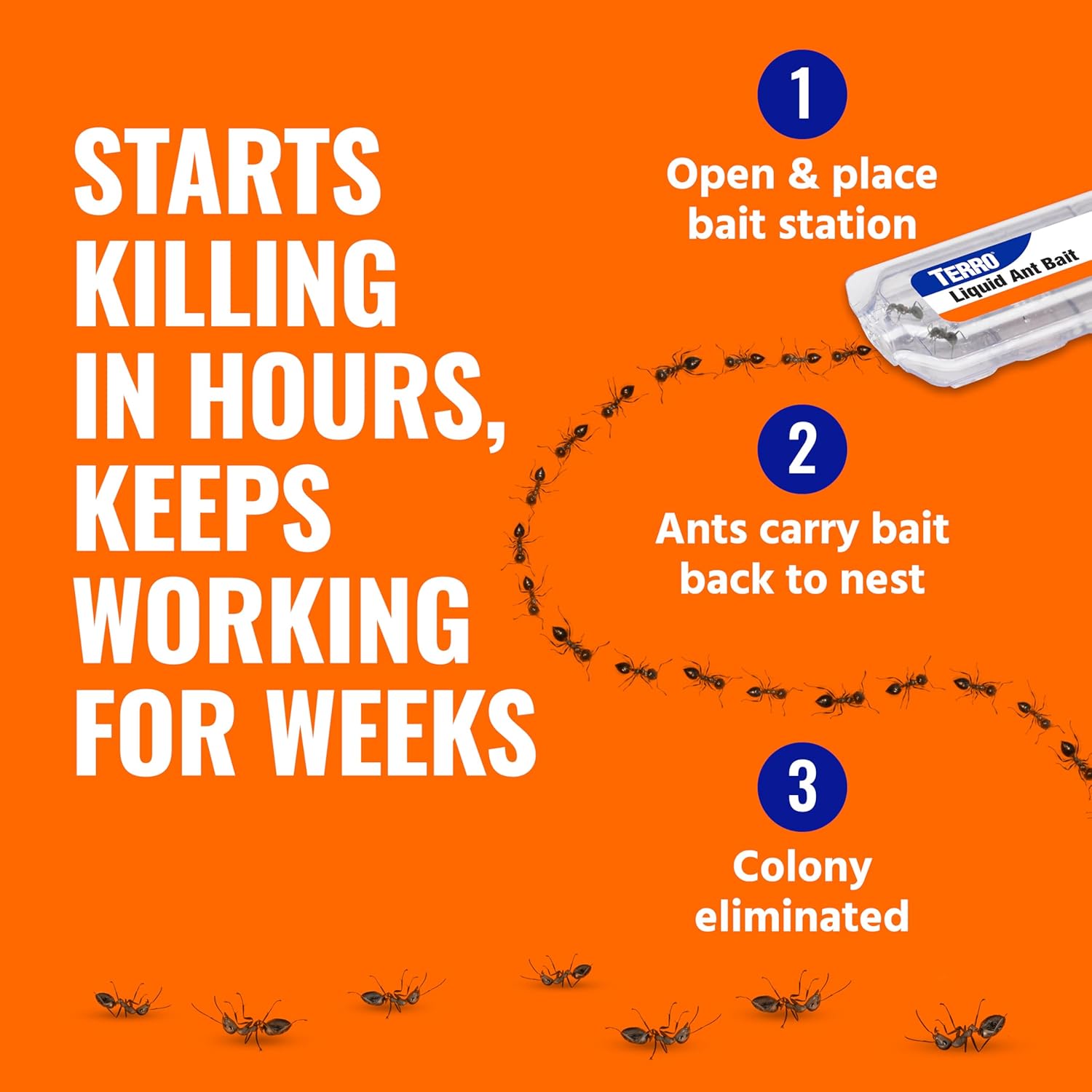 TERRO T300B Liquid Ant Killer Bait Stations 12-Pack - Indoor Ant Traps with Borax Formula, Kills the Queen & the Entire Colony - 图片 4