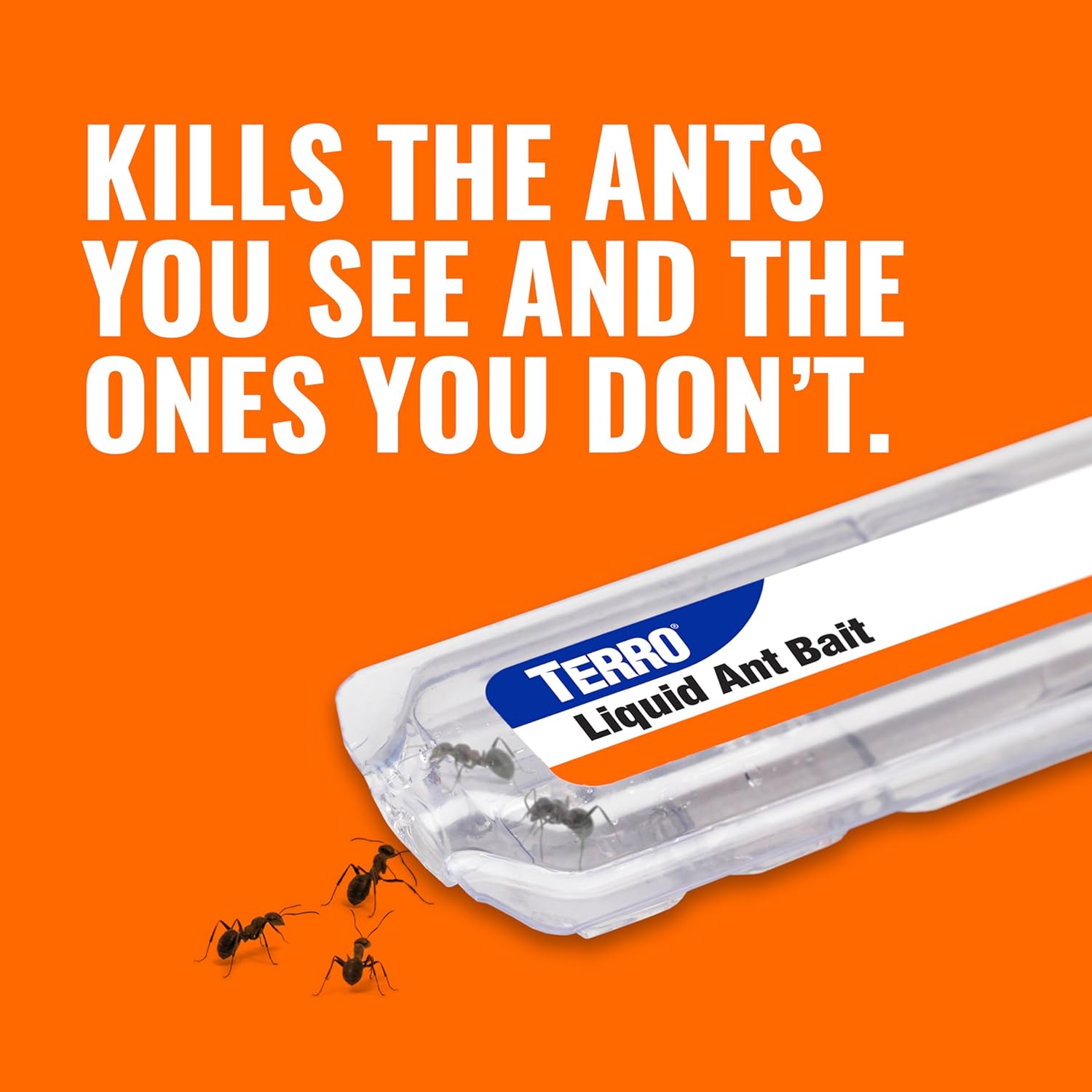 TERRO T300B Liquid Ant Killer Bait Stations 12-Pack - Indoor Ant Traps with Borax Formula, Kills the Queen & the Entire Colony - 图片 5