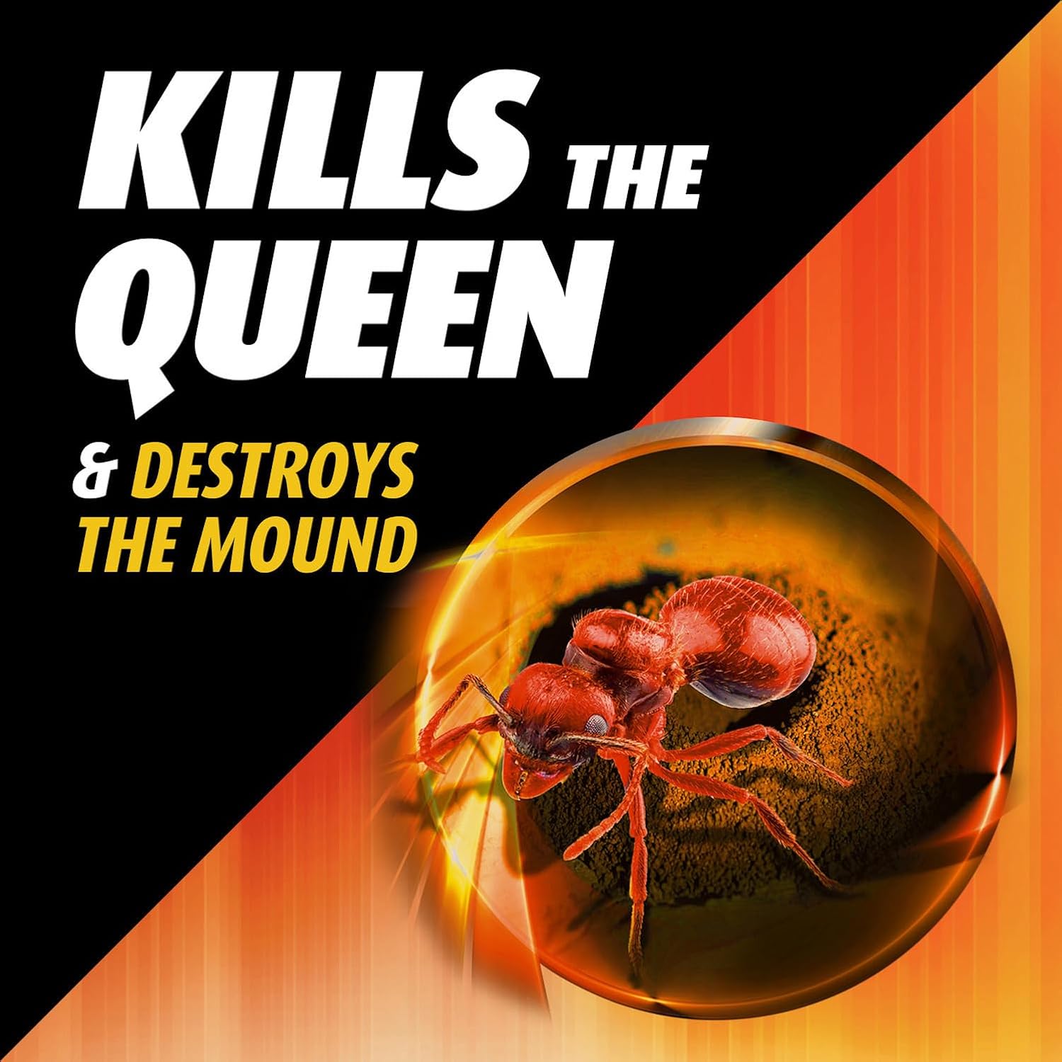 Ortho Orthene Fire Ant Killer1 – Mound Treatment, Outdoor Ant Killer, Kills Queens, No Watering Needed, Treats up to 162 Mounds, 12 oz. (2-Pack) - 图片 2