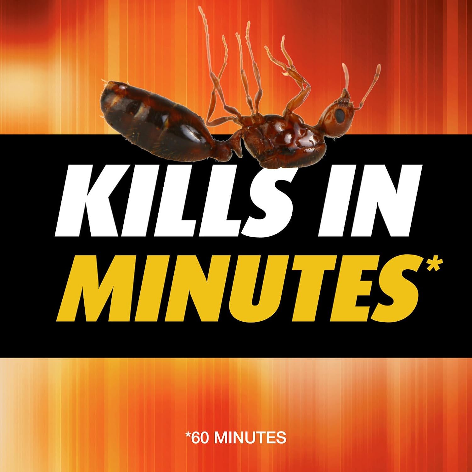 Ortho Orthene Fire Ant Killer1 – Mound Treatment, Outdoor Ant Killer, Kills Queens, No Watering Needed, Treats up to 162 Mounds, 12 oz. (2-Pack) - 图片 3