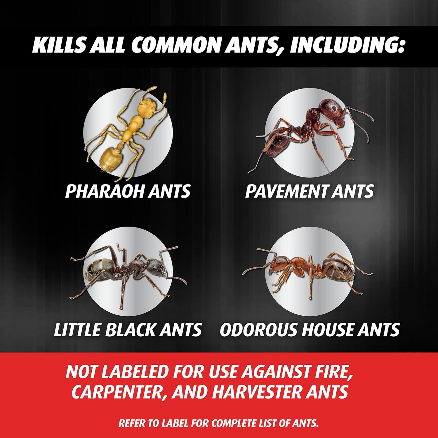 Ortho Orthene Ant Killer Ant Bait - Indoor Ant Killer, Kills the Queen and the Colony, 12 Bait Stations - 图片 11