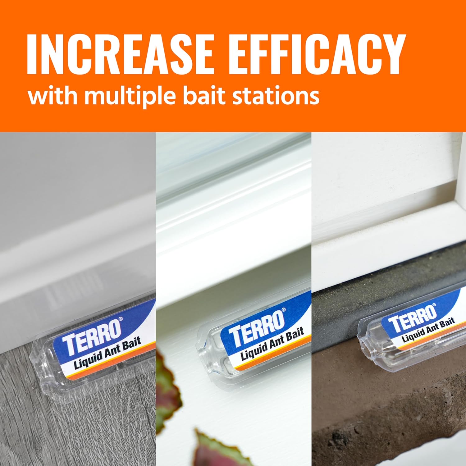 TERRO T300B Liquid Ant Killer Bait Stations 12-Pack - Indoor Ant Traps with Borax Formula, Kills the Queen & the Entire Colony - 图片 12
