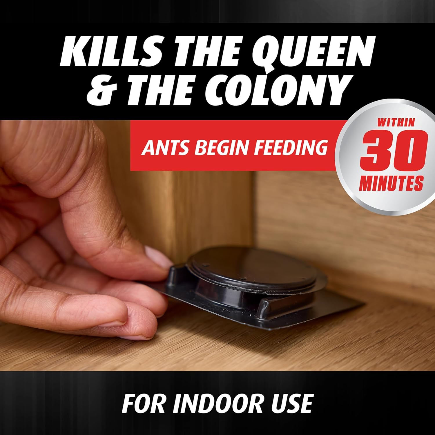Ortho Orthene Ant Killer Ant Bait - Indoor Ant Killer, Kills the Queen and the Colony, 12 Bait Stations - 图片 5