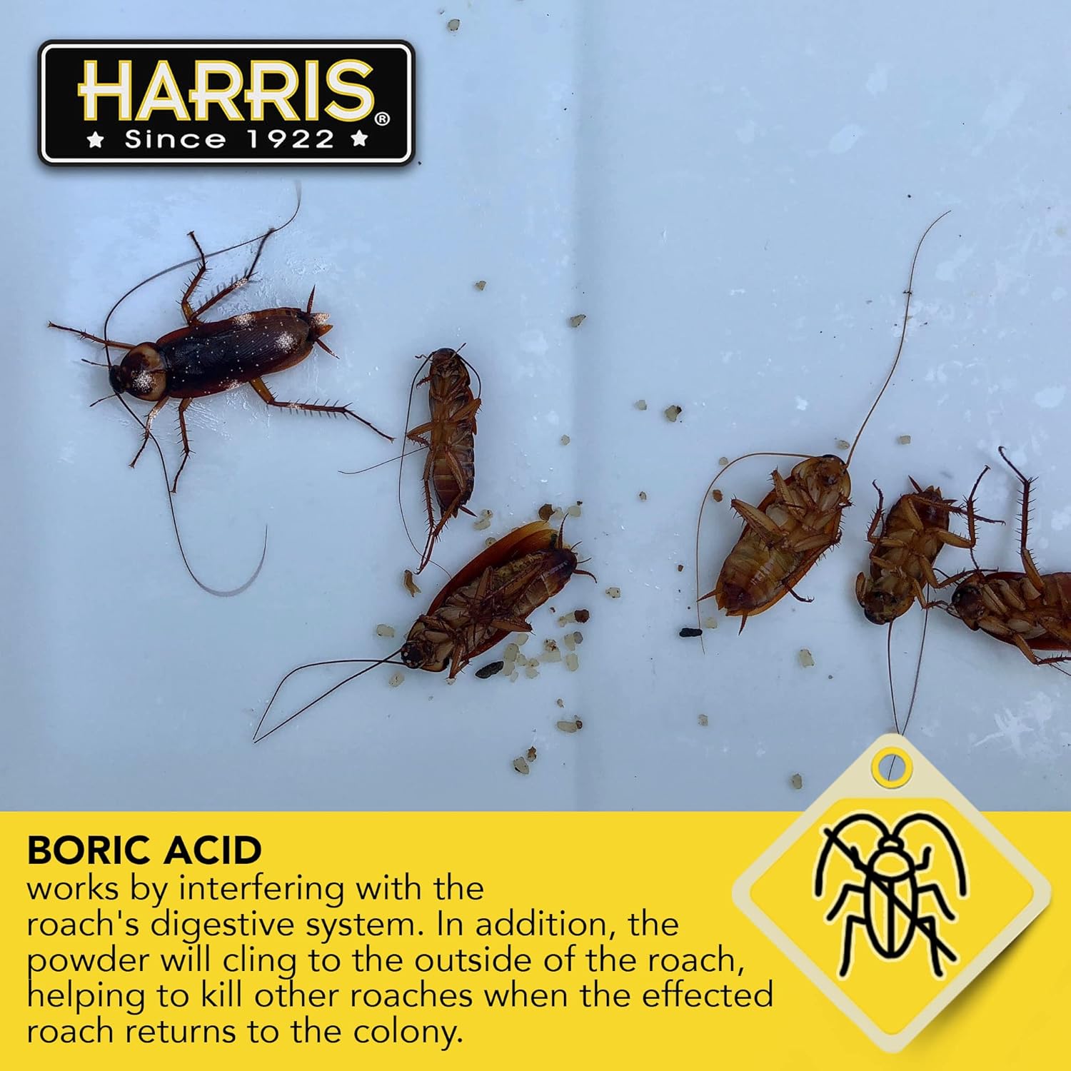 HARRIS Boric Acid Roach and Silverfish Killer Powder w/Lure for Insects (16oz) - 图片 5