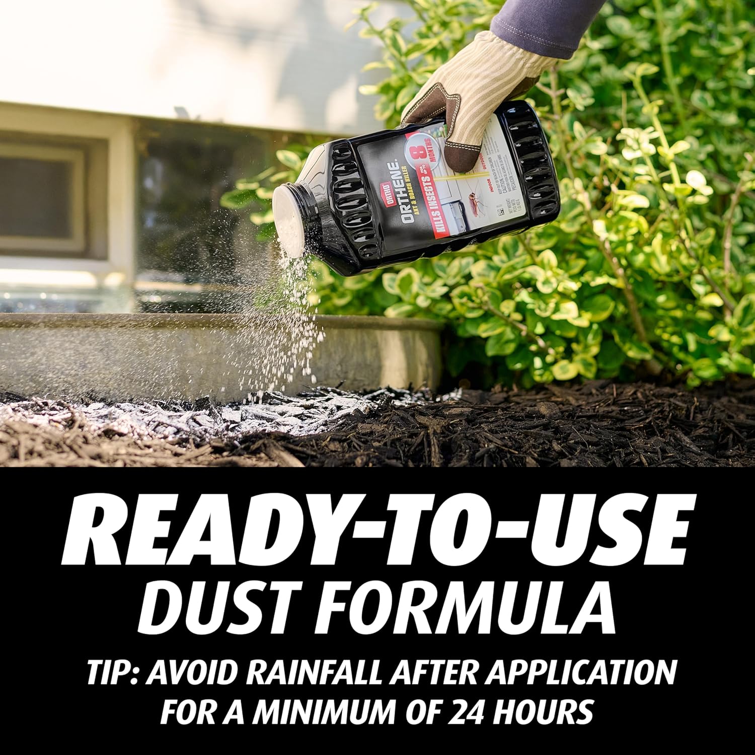 Ortho Orthene Ant and Roach Killer - Long-Lasting Insect Control, Indoor and Outdoor Use, Roach Killer Powder Dust, 1 lb. (2-Pack) - 图片 8