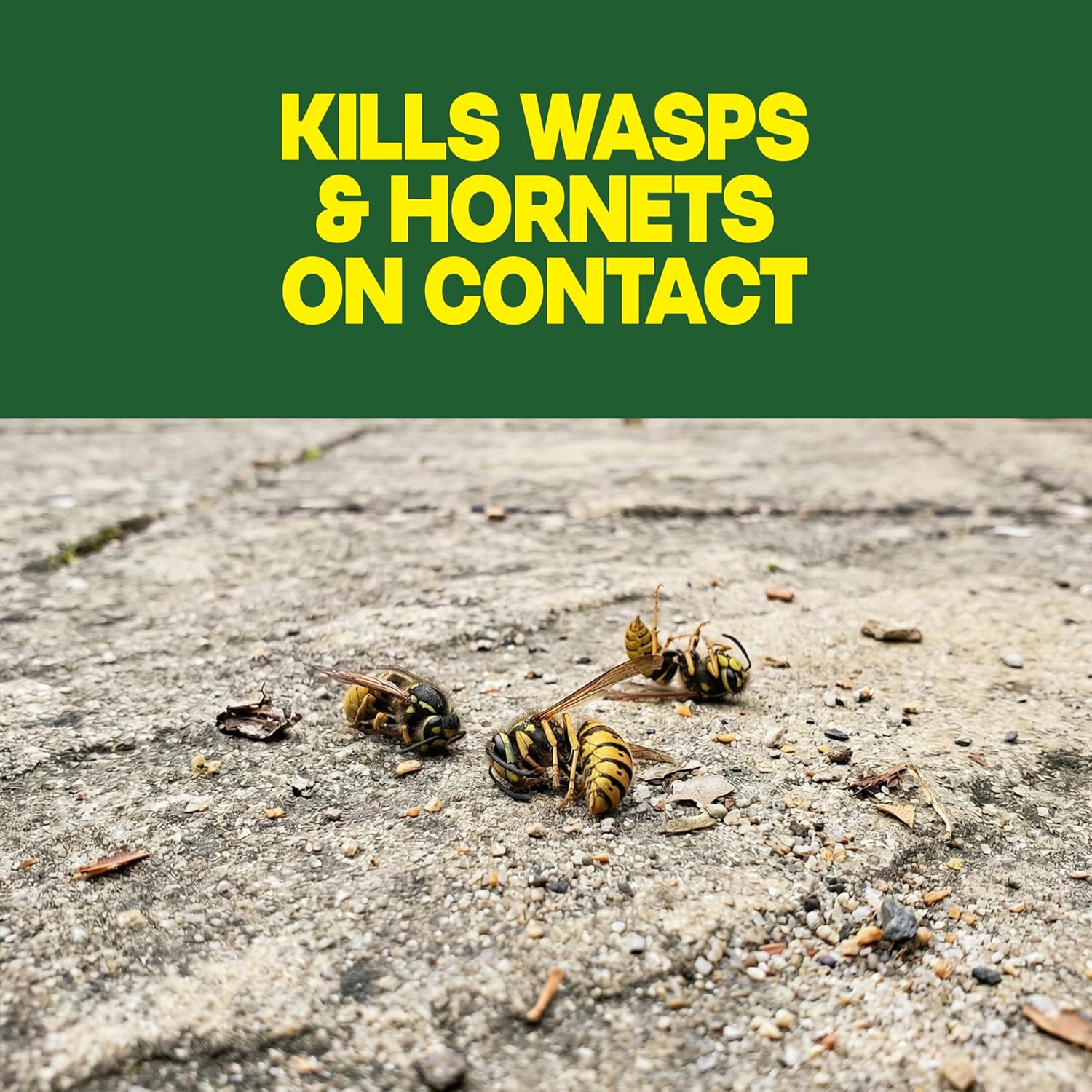 Raid Wasp & Hornet Killer Spray, Kills the Entire Nest, For Paper Wasps, Yellow Jackets, Mud Daubers and more, 14 oz (Pack of 2) - 图片 11