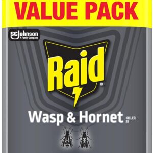 Raid Wasp & Hornet Killer Spray, Kills the Entire Nest, For Paper Wasps, Yellow Jackets, Mud Daubers and more, 14 oz (Pack of 2)