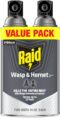 Raid Wasp & Hornet Killer Spray, Kills the Entire Nest, For Paper Wasps, Yellow Jackets, Mud Daubers and more, 14 oz (Pack of 2)