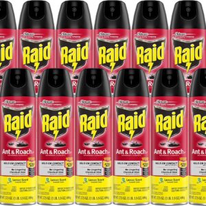 Raid Ant & Roach Killer Spray For Listed Bugs, Keeps Killing for Weeks, Lemon Scent, 17.5 oz