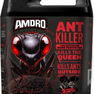 Amdro 100550427 Ant Killer for Outdoor Home Perimeter 24 oz, Black Label