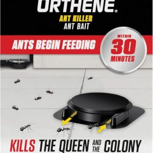 Ortho Orthene Ant Killer Ant Bait - Indoor Ant Killer, Kills the Queen and the Colony, 12 Bait Stations