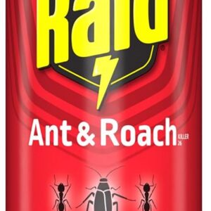 Raid Ant & Roach Killer, Fragrance Free Bug Killer for Home Use, Kills Bugs on Contact, 17.5oz